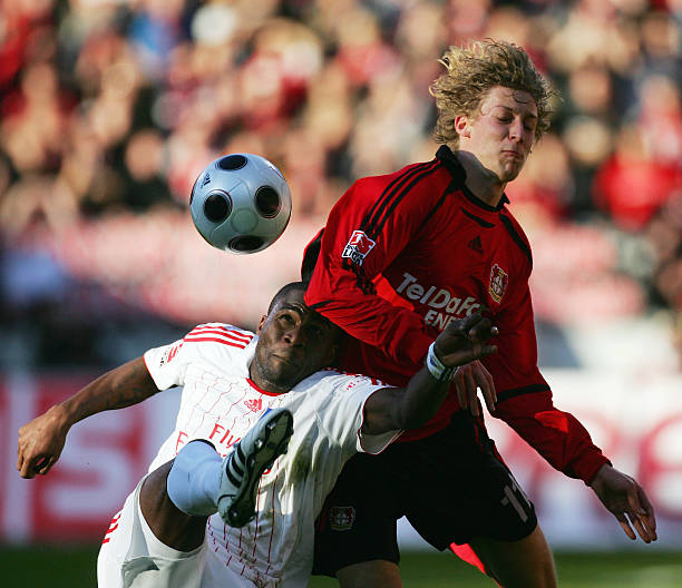 适应欧洲的 适应欧洲的